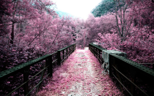 632512 (a): :2560x1600